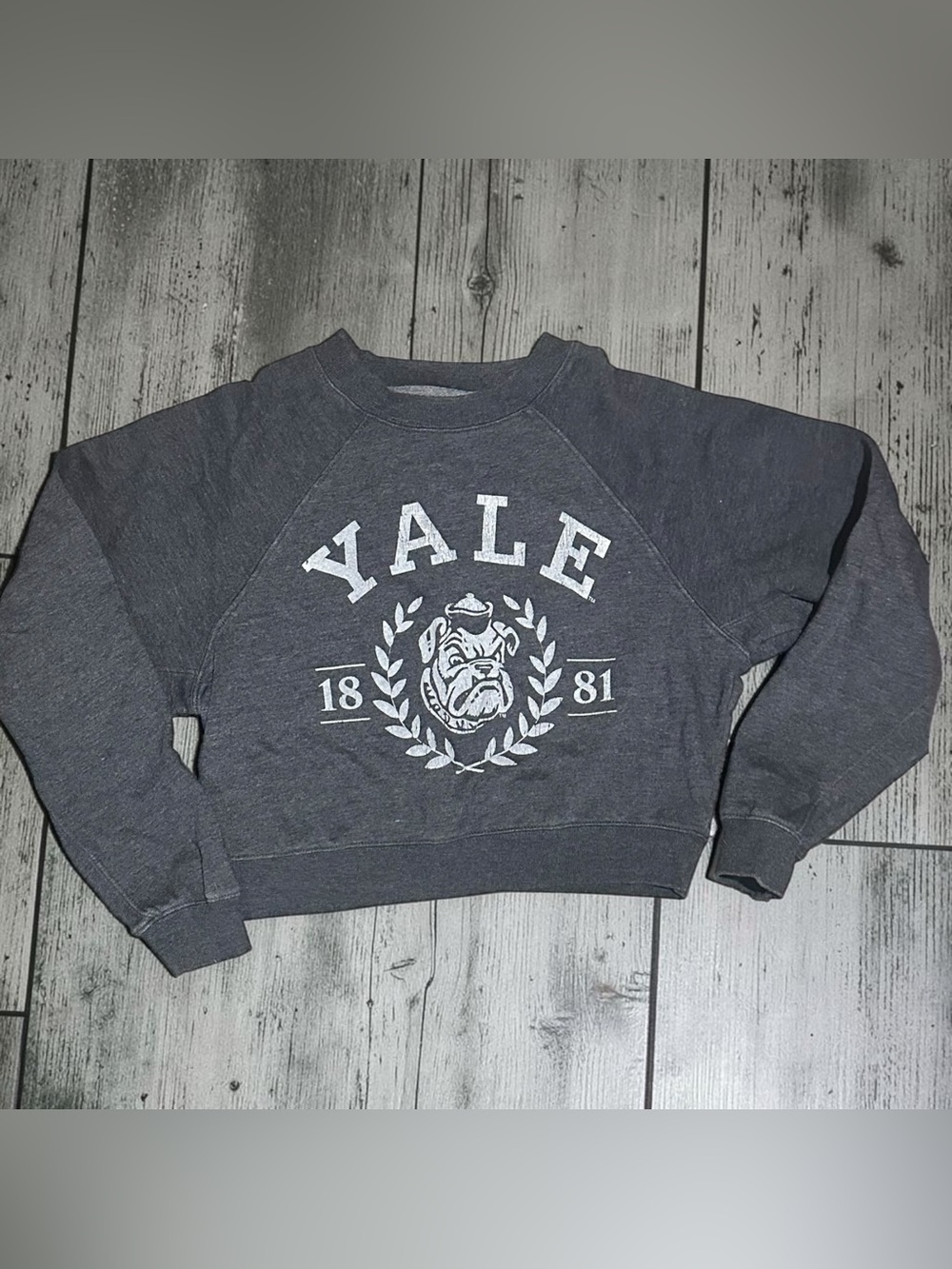 Yale University Cropped Sweatshirt Women’s S Charcoal Gray Blue Bulldog Graphic